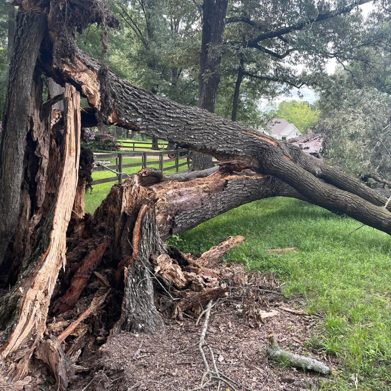 Storm Damage Assistance