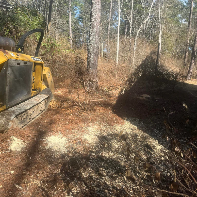 Stump Grinding