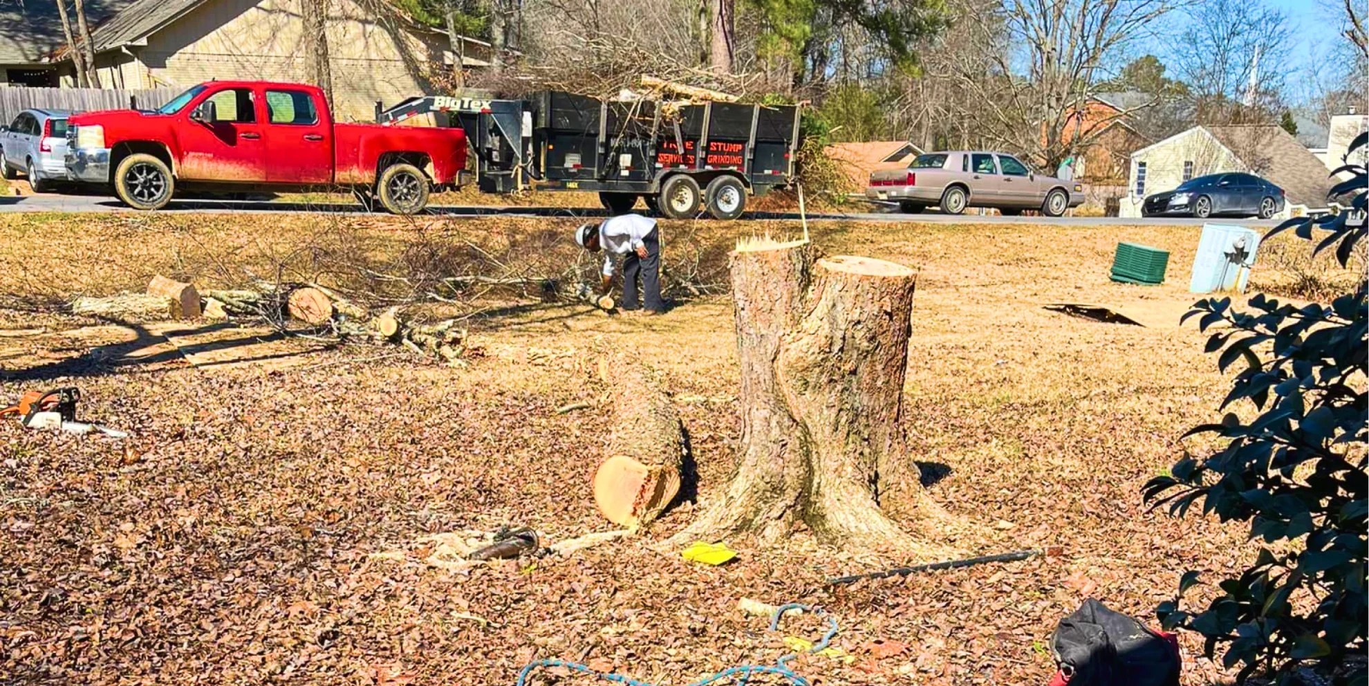 porters tree service hero 1